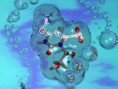Material de Bioquímica